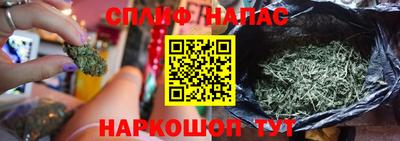ПСИЛОЦИБИНОВЫЕ ГРИБЫ Можайск