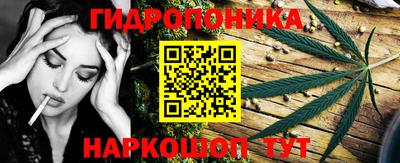 мдпв Можга