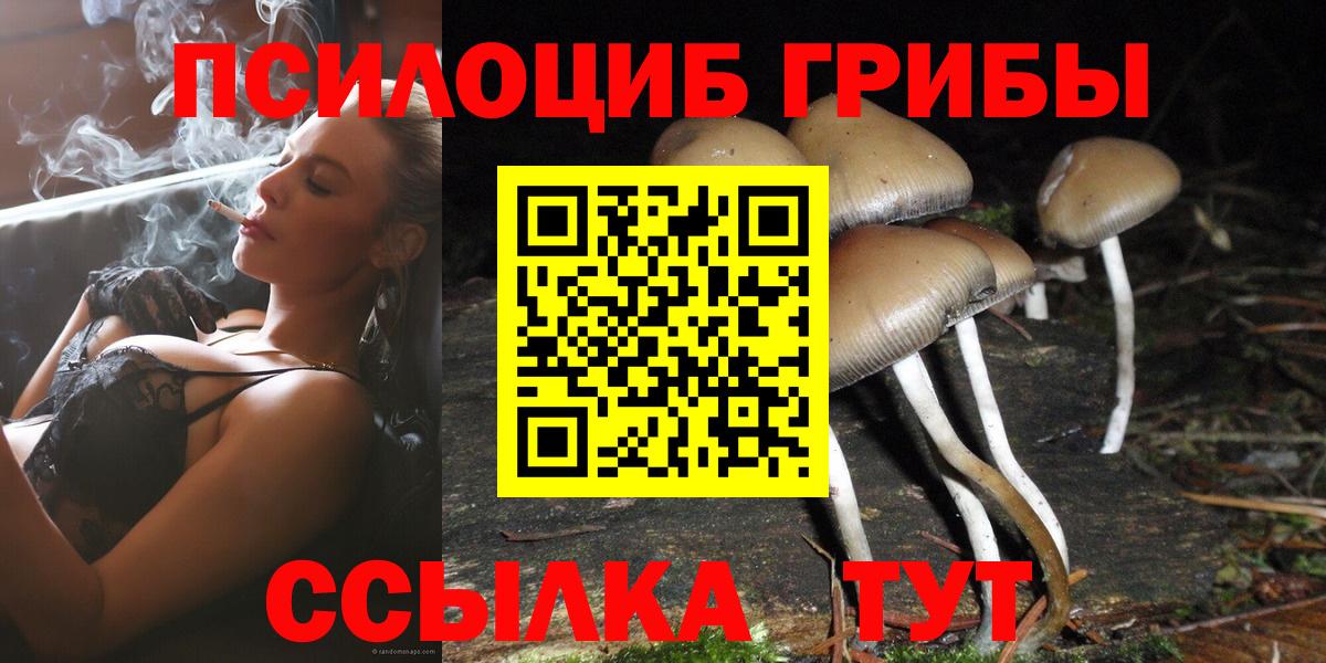 Псилоцибиновые грибы мицелий  Владивосток  Псилоцибиновые грибы прущие грибы 