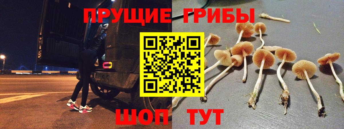 Галлюциногенные грибы GOLDEN TEACHER Владивосток
