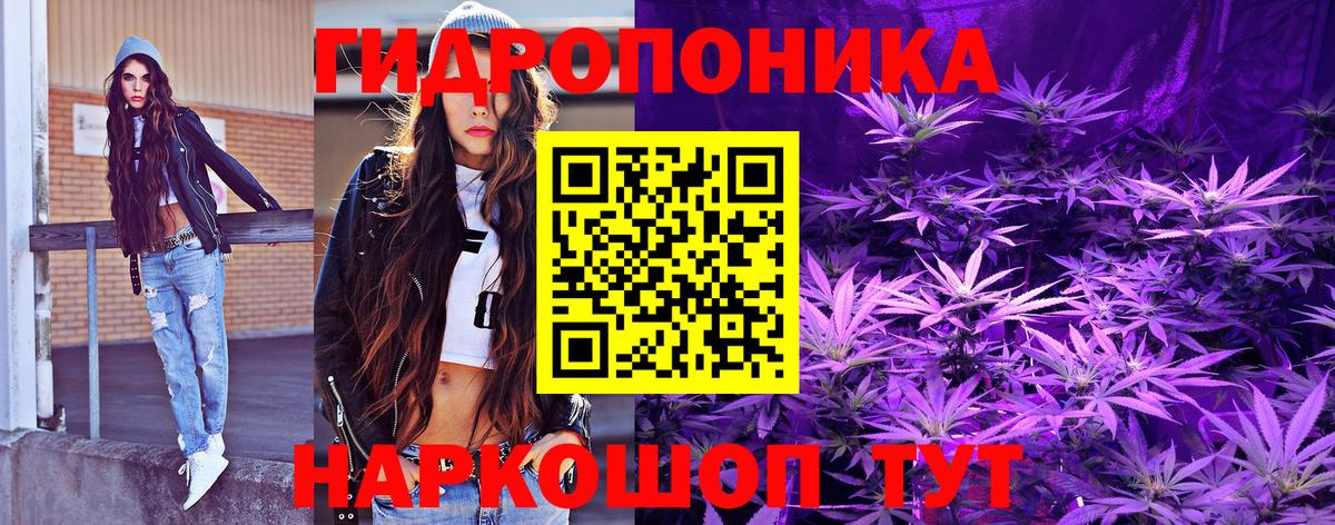 Каннабис планчик  Конопля OG Kush  Канабис VHQ  Вход с VPN  Владивосток 